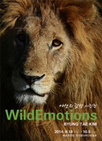 야생의 감성 (Wild Emotions)