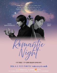 로맨틱 나이트