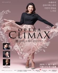 황수미의 Opera Climax