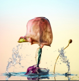 Marlis Reugels_독일